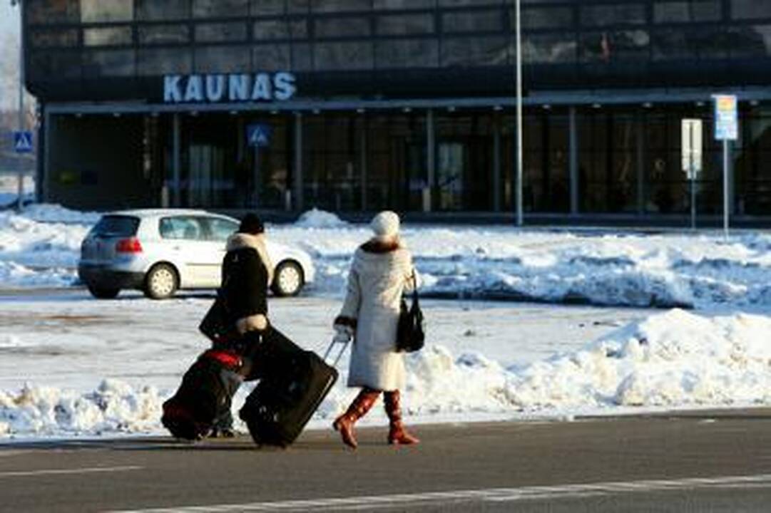 Susidomėjimas: porelės šluoja pigių skrydžių bendrovių bilietus.