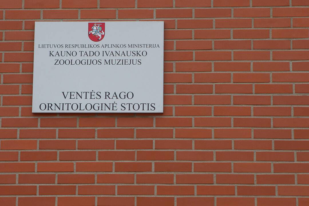 Žiemos ramybė Ventės rage
