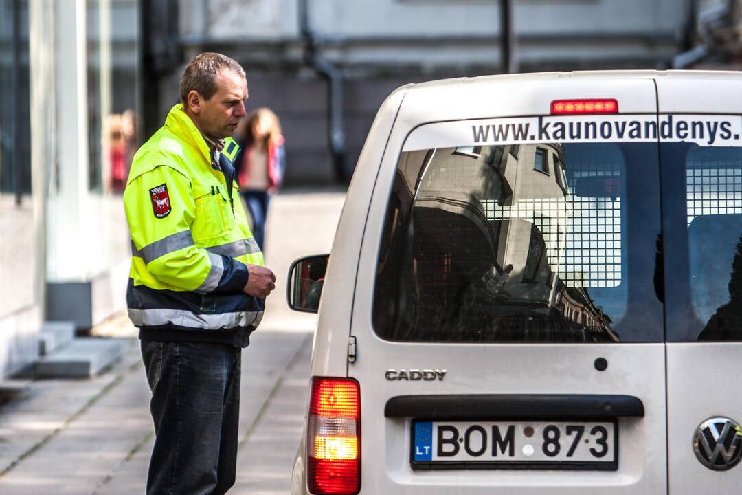 Reidas Laisvės alėjoje