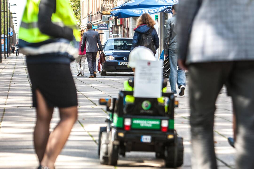 Reidas Laisvės alėjoje