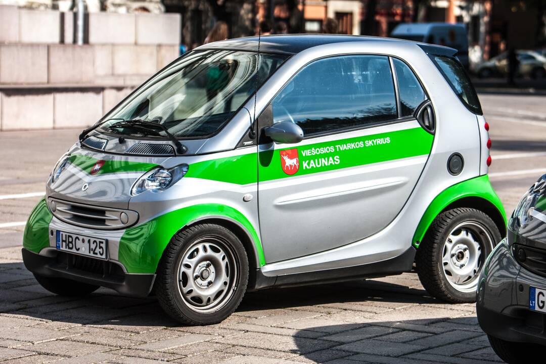 Reidas Laisvės alėjoje