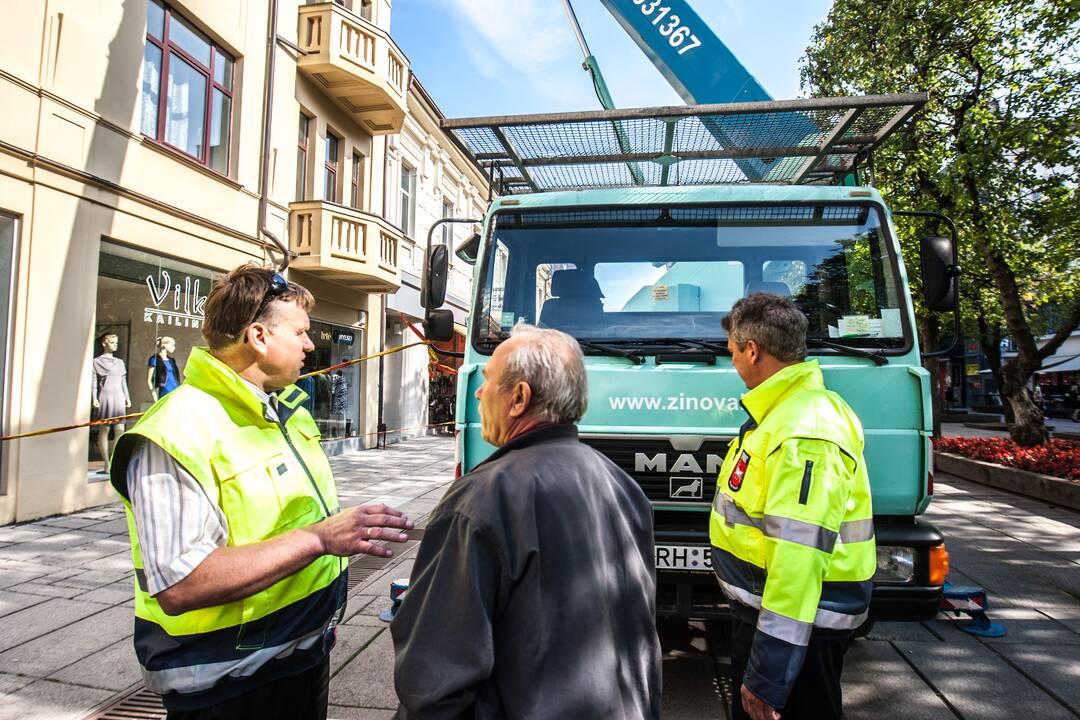 Reidas Laisvės alėjoje