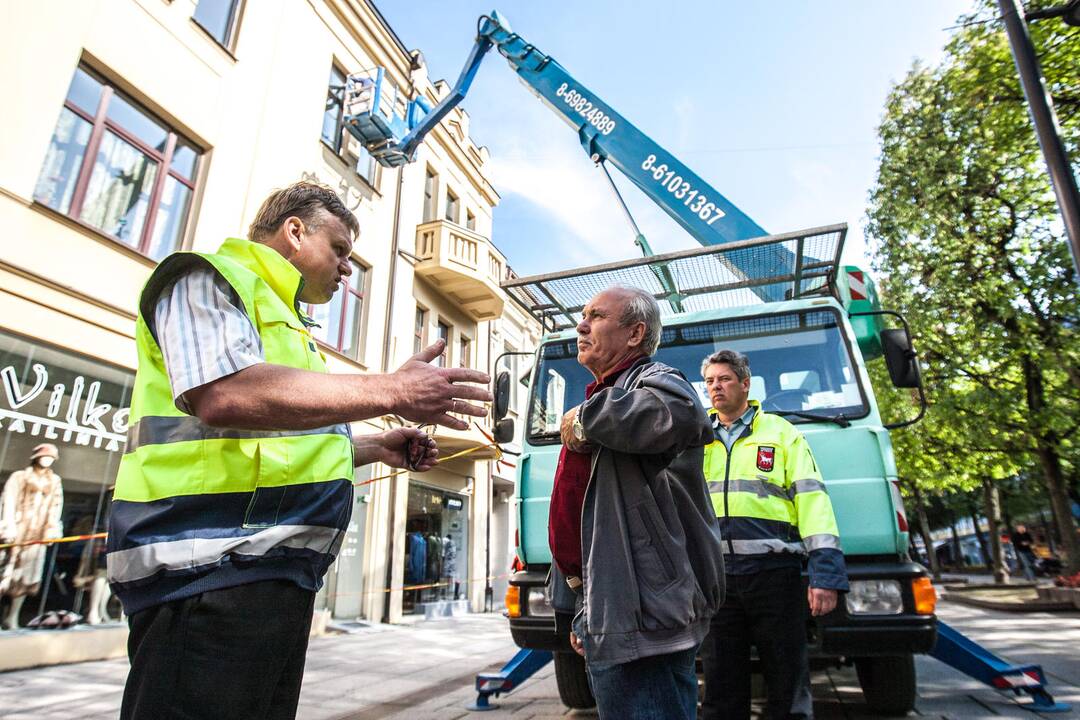 Reidas Laisvės alėjoje