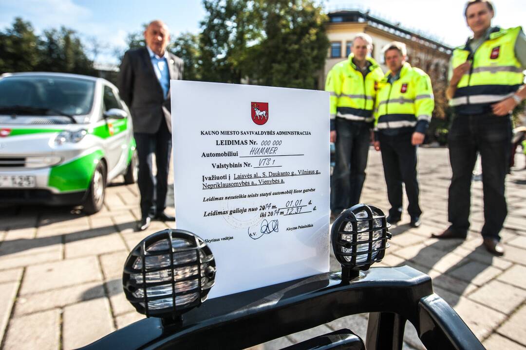 Reidas Laisvės alėjoje