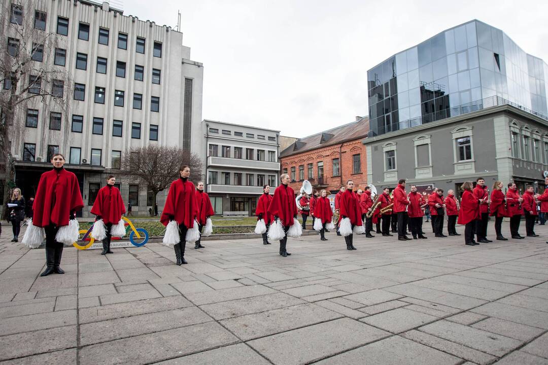 Žemės dienos minėjimas Kaune