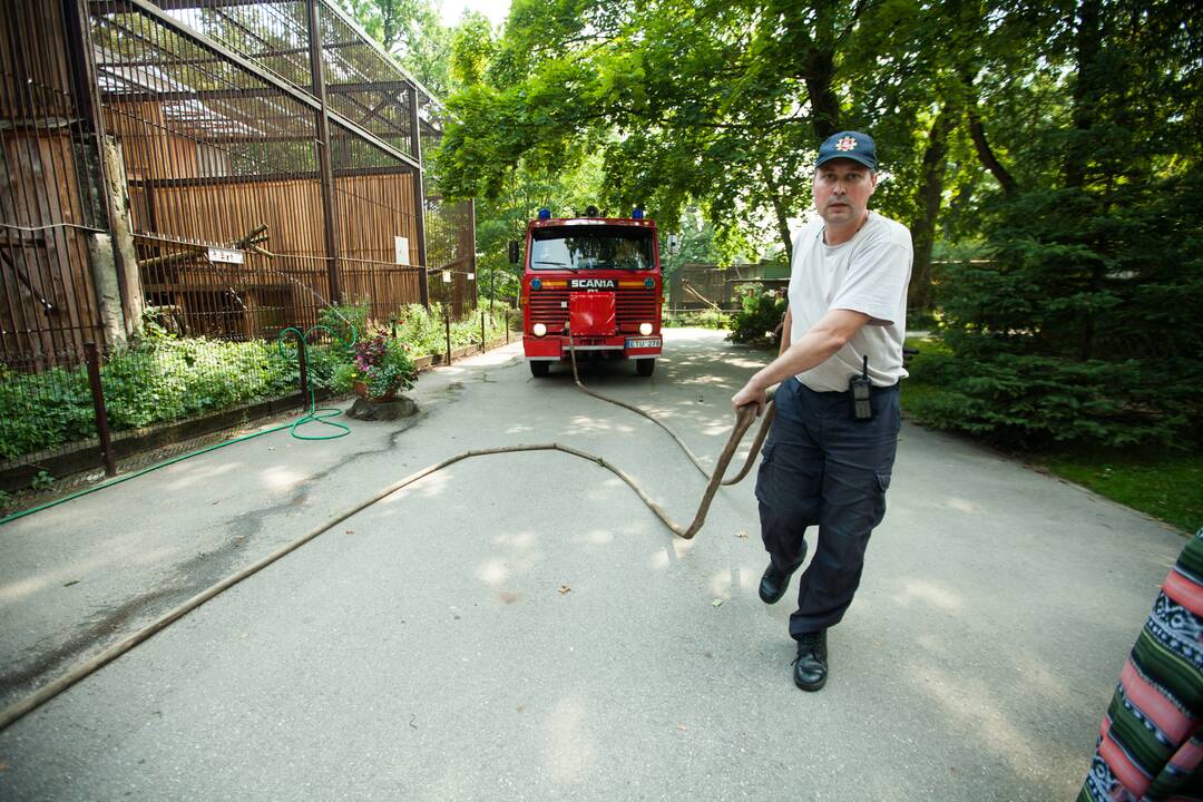 Nuo karščio gelbėja ir ugniagesiai