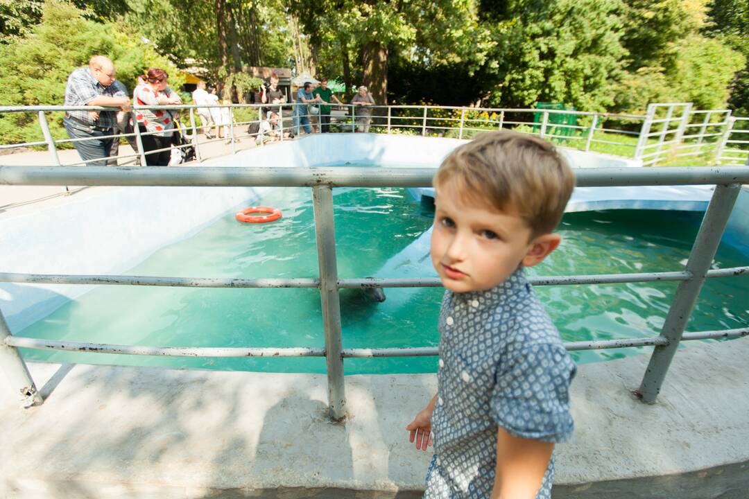 Nuo karščio gelbėja ir ugniagesiai