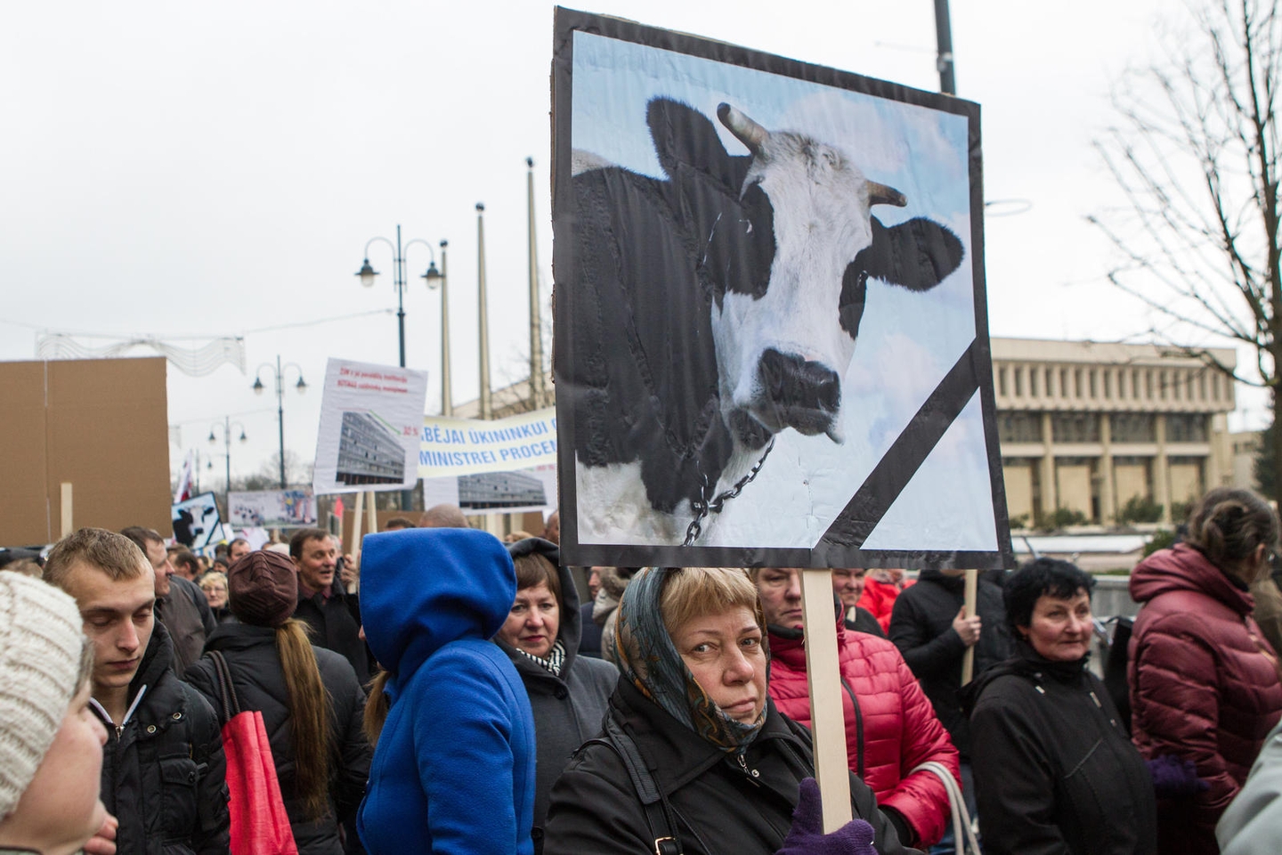 Pieno gamintojų protesto akcija