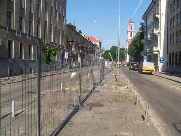 Žaliųjų partija pasmerkė savivaldybės leidimą išpjauti Šermukšnių gatvės liepas