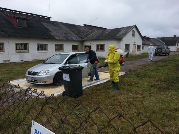 Skuode – imituotos afrikinio kiaulių maro pratybos