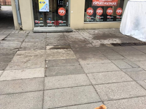Kaunietį papiktino mugės prekybininkų palikta netvarka
