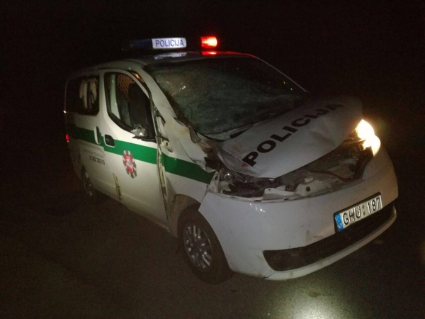 Kruvina akistata: policijos automobilis užmušė briedį