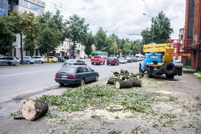 Savanorių prospekte – širdį veriantis vaizdas