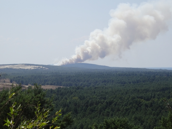 Rusiškoje Kuršių nerijoje kilo gaisras