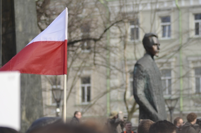 Socialdemokratas: Lietuvoje nematau didelių tautinių mažumų problemų