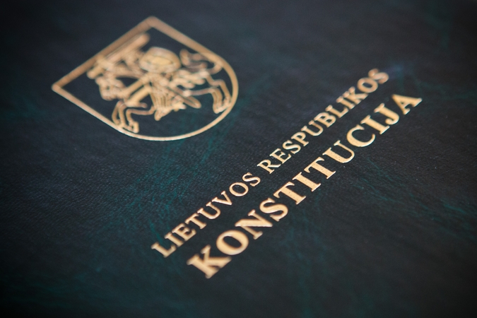 Konstitucinės teisės specialistas: ir teisė, ir politika priklauso nuo Konstitucijos