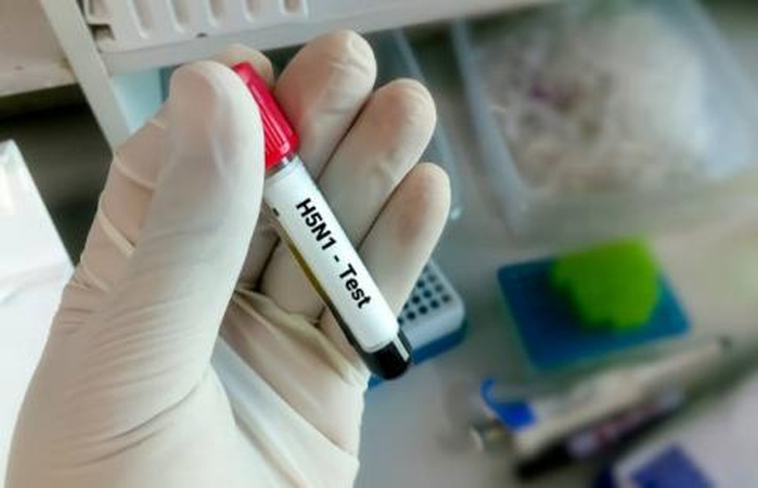 Nustatomi nauji paukščių gripo atvejai žinduolių tarpe. Stebima tolesnė viruso evoliucija