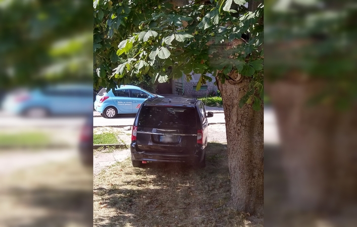 Klaipėdoje pykdo akiplėša vairuotojas: automobilį stato ant žolės
