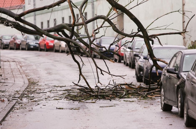 Savaitgalį siautėjęs stiprus vėjas sukėlė problemų: kelius tvėrė nuvirtę medžiai