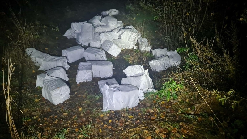 Įtariamuosius kontrabanda susekė vokiečių aviganis Kentas
