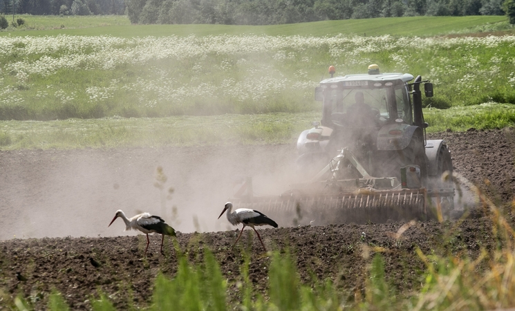 Žemės ūkio paskolų garantijų fondas šiemet suteikė 79 proc. daugiau garantijų