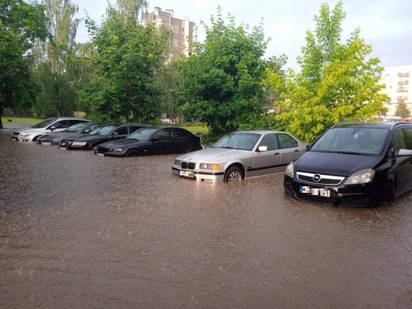 Dėl patvinusių gatvių Vilniuje kalta ir nešienaujama žolė?