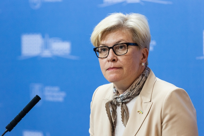 I. Šimonytė: kokia bus kompensacija už elektrą kitąmet, kol kas neaišku
