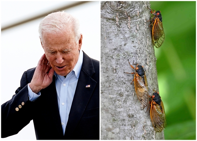 J. Bideną į Europą lydinčių žurnalistų lėktuvas dėl cikadų negalėjo pakilti