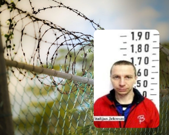 Ieškomas nuteistasis pats sugrįžo į Pravieniškių atvirąją koloniją