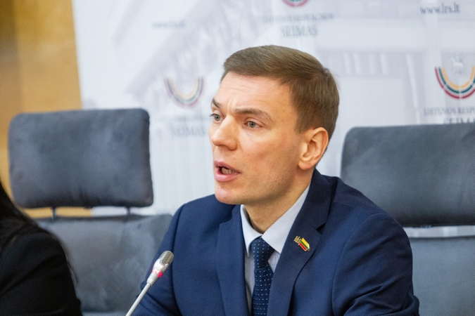 M. Puidokas ragina skelbti referendumą dėl Stambulo konvencijos