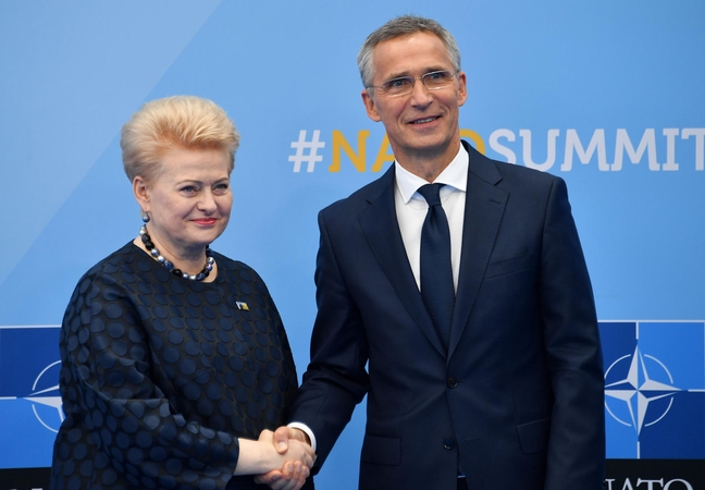 D. Grybauskaitė šią savaitę vyksta į NATO valstybių vadovų susitikimą