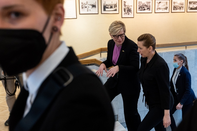 Premjerė: sutaupėm laiko, prezidentui pasirašius įstatymą dėl mažesnės apsaugos