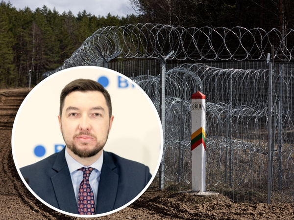 V. Mitalas: migrantų apgręžimo įstatymas gali būti neįgyvendinamas iki galo