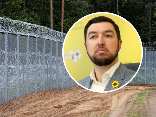 V. Mitalas: Lietuva turėtų priimti kritiką dėl apgręžimo, o ne siekti jį įteisinti