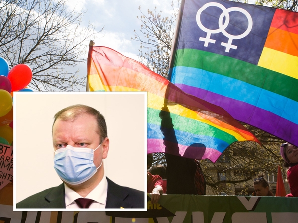 Seimo pirmininkė: S. Skvernelio priekaištai dėl Partnerystės įstatymo – neteisingi