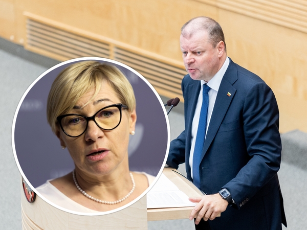 S. Skvernelis: opozicija prašys ministrės atsakyti į klausimus dėl tarybos išmokų