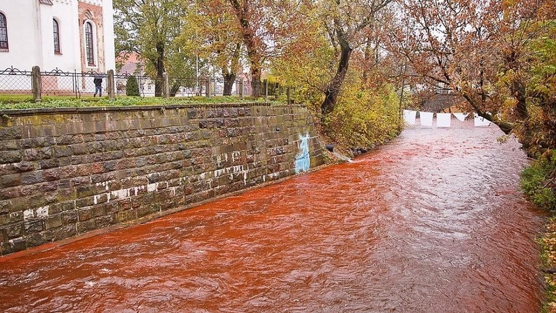 Tarptautinę insulto dieną Vilnelė pasruvo krauju