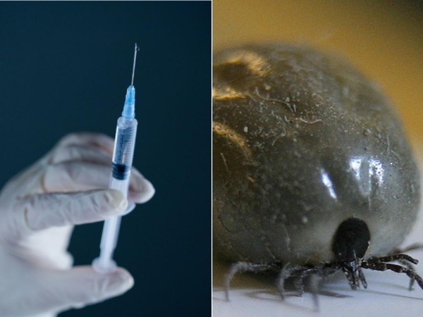 Ragina skiepytis, bet skiepai nuo erkinio encefalito įperkami ne visiems?