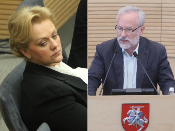 J. Razma siūlo tyrimą dėl I. Rozovos patikėti laikinajai tyrimo komisijai