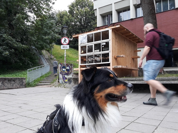 Jaunųjų Estijos menininkų Dailės akademijai padovanota instaliacija "išbandymo viešumu" neatlaikė, praeiviai netrukus ėmė ją vadinti šiukšlynu ir benamių prieglauda.  