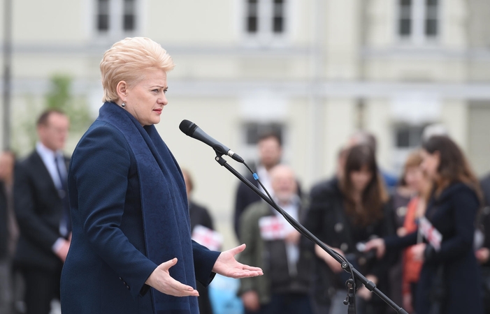 Prezidentė dėl klaidų ieškant lėktuvo „An-2“ kapoti galvų nebeketina