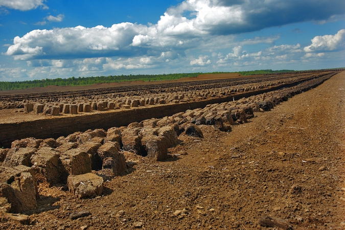 Liūtys pakenkė durpių gavybai