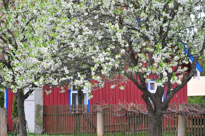 Lietuvoje atidaromas kaimo turizmo sezonas