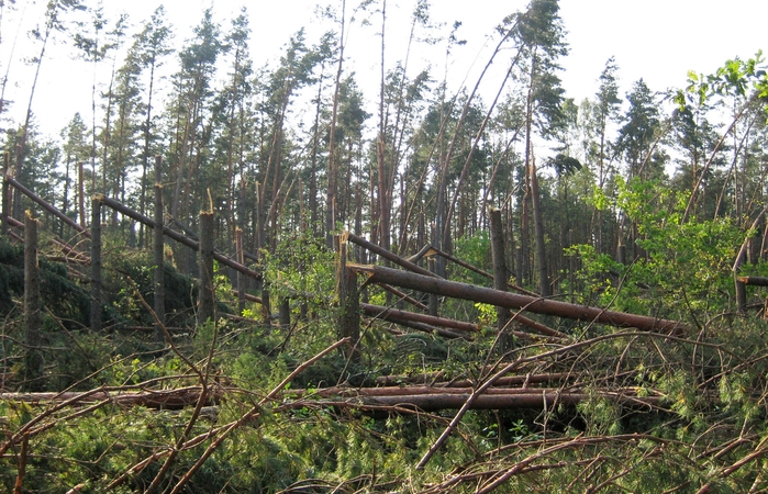 Dėl škvalo žalos Alytaus rajonas skelbia ekstremalią situaciją