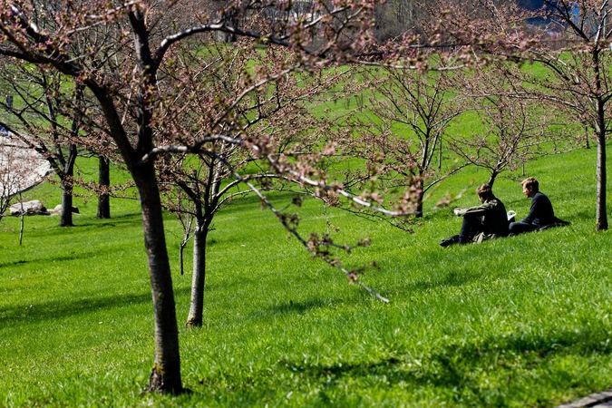 Sinoptikai žada: po poros dienų prasidės tikras pavasaris
