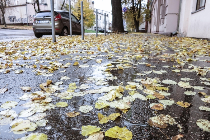 Sinoptikai: sekmadienis bus neramus
