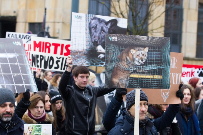 Eitynėse už gyvūnus jau antrąkart žygiuos ir įžymūs vilniečiai