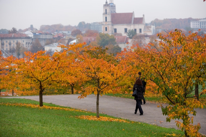 Orai: savaitės viduryje teks ieškoti šiltų drabužių