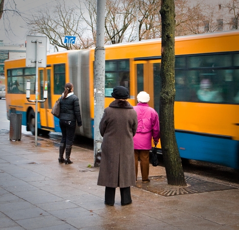 Vyriausybės atstovas užsimojo panaikinti senjorų bilietą