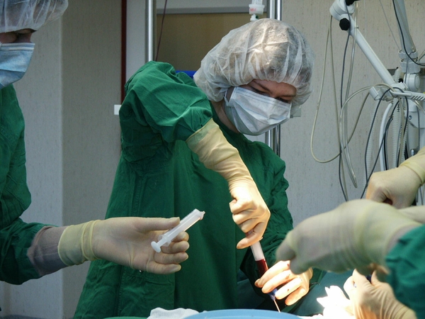 Jauniausiam organų donorui buvo vos vieneri – transplantuota jo širdelė